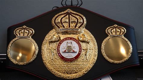 boxing current belt holders|Current WBA Champions – World Boxing Association.